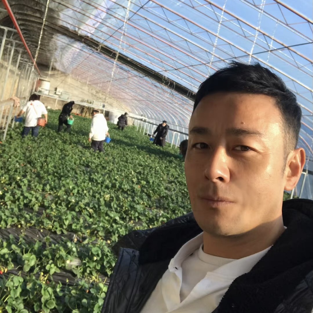 山河大海的照片