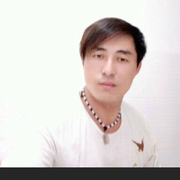 1987521的照片