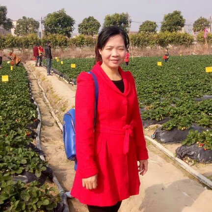 缓慢眼神睛的照片