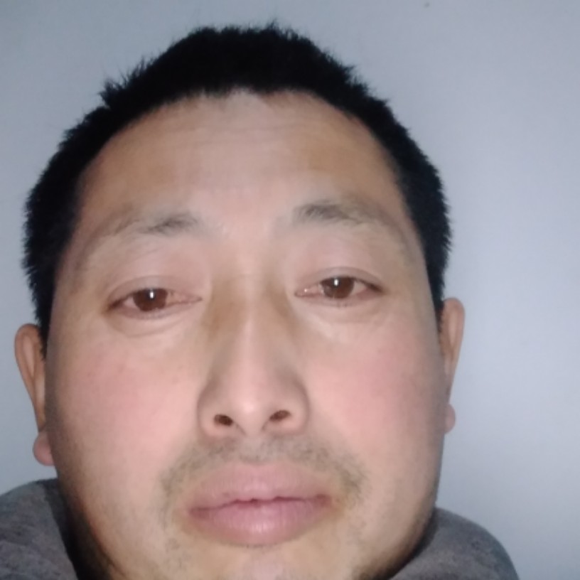 唯一的演变早晨的照片