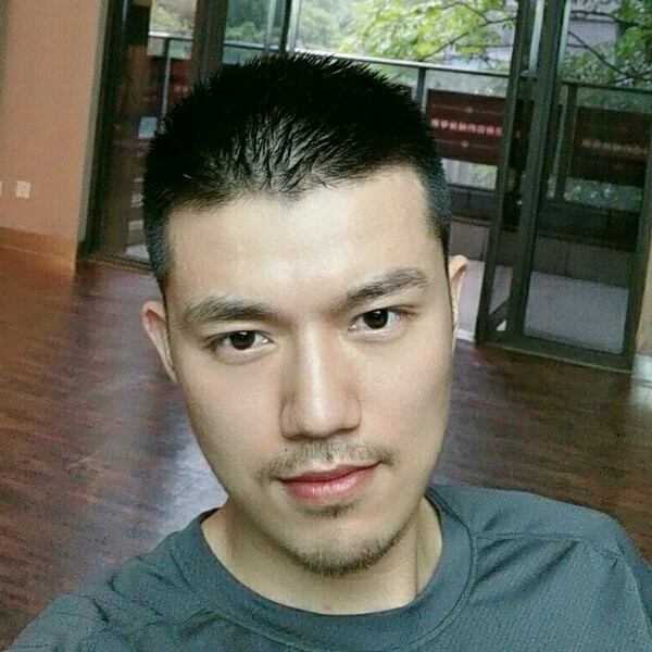 灰狼完美的照片