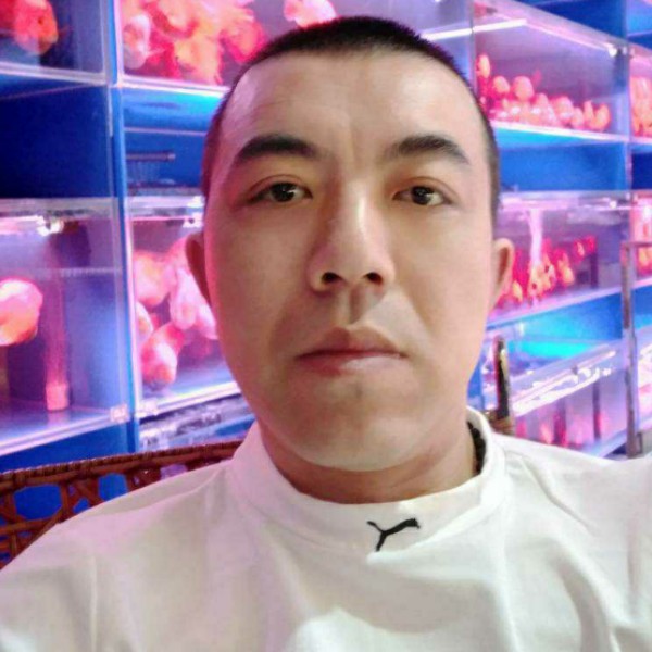 季节等待怕孤单的照片