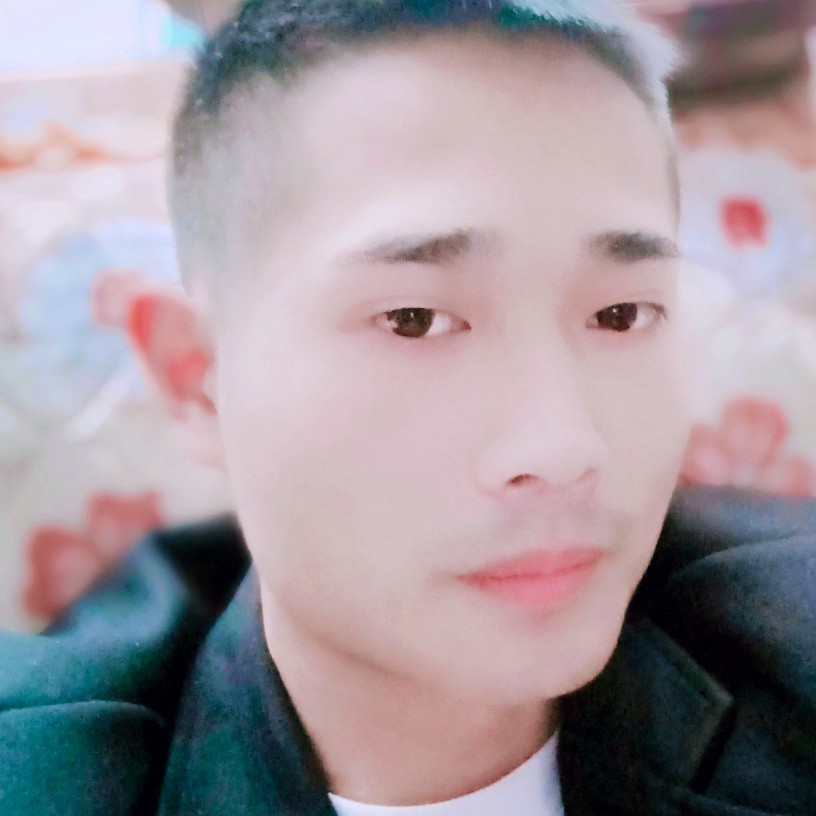 故意刺猬的照片