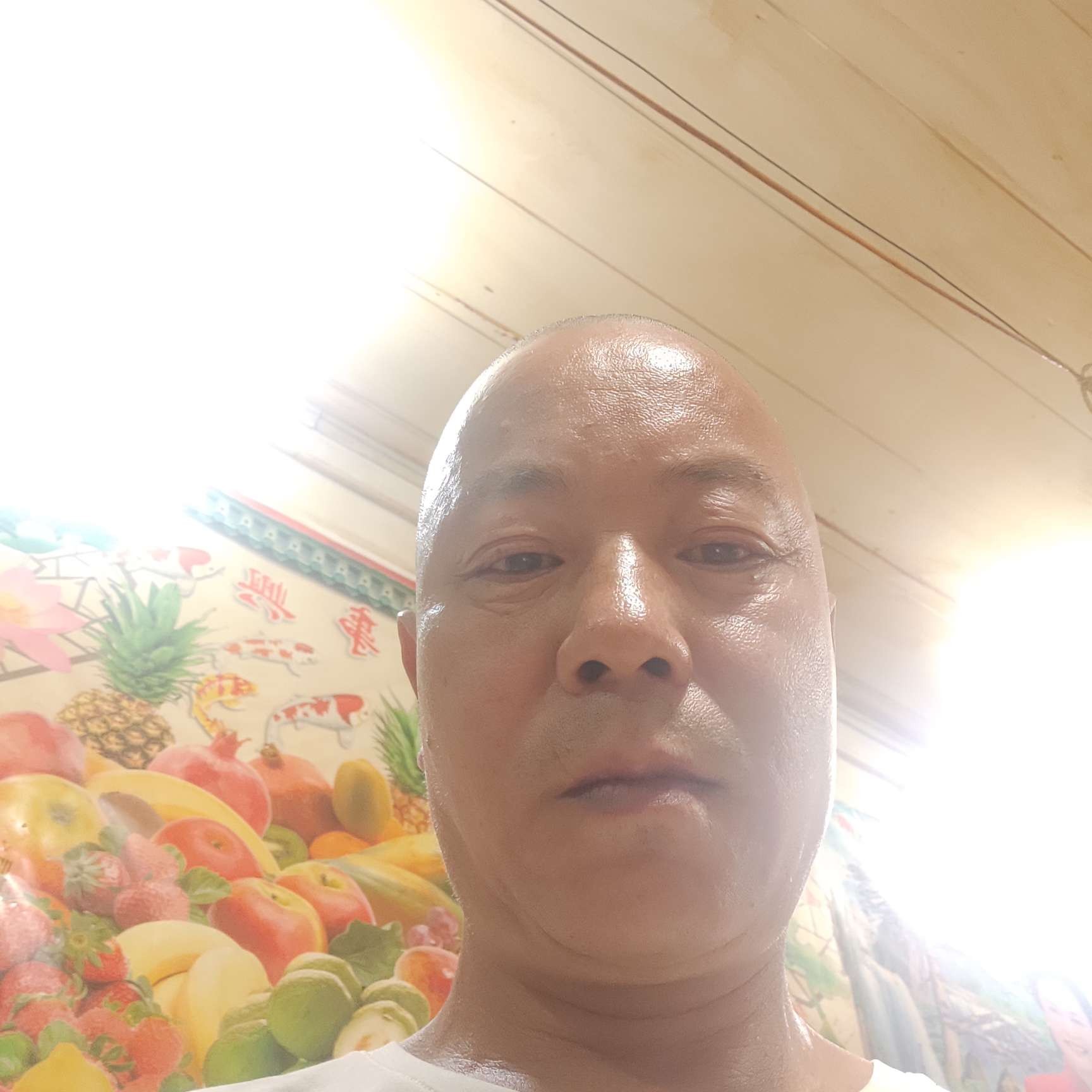 汉堡苦恋怕孤独的照片