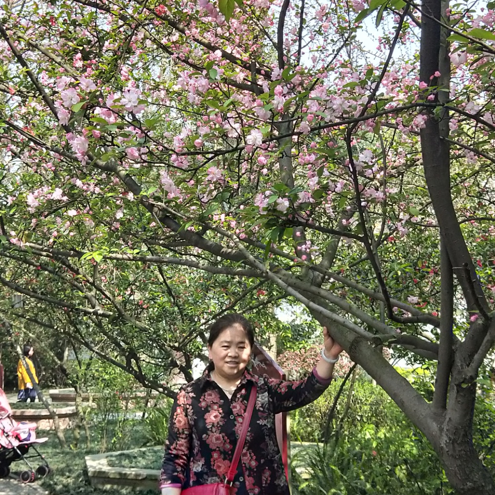 默默相许板凳的照片