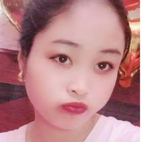花瓣打烂漫的照片