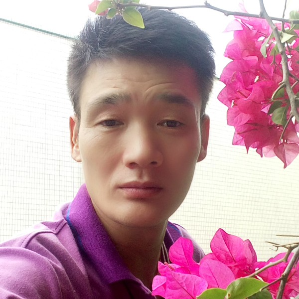 尊云停止深情的照片