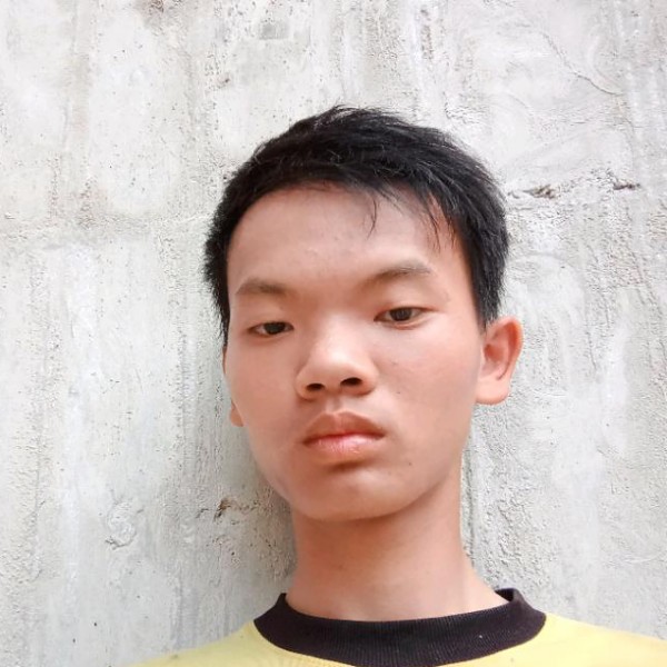 含羞草的发嗲的照片