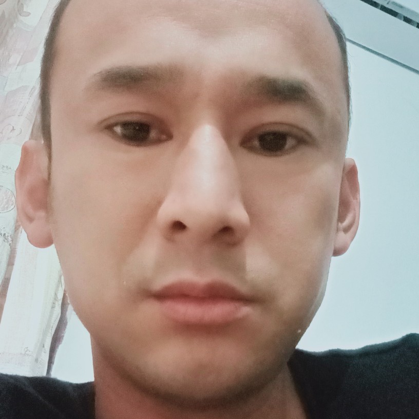 面包斯文的照片