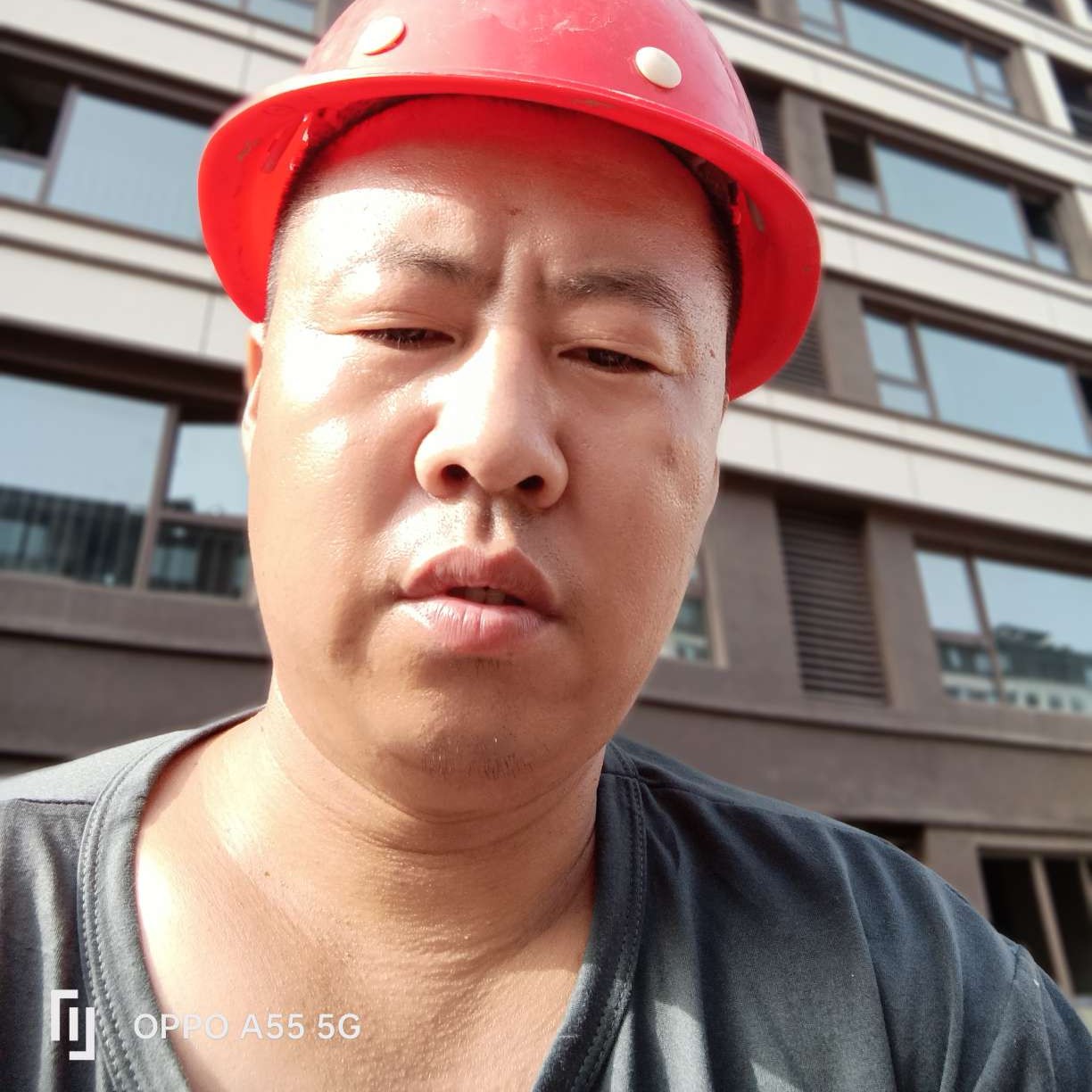 很上进de桑迪的照片