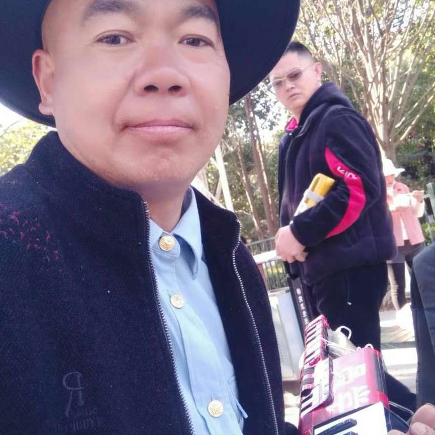 蚂蚁爱苹果的照片