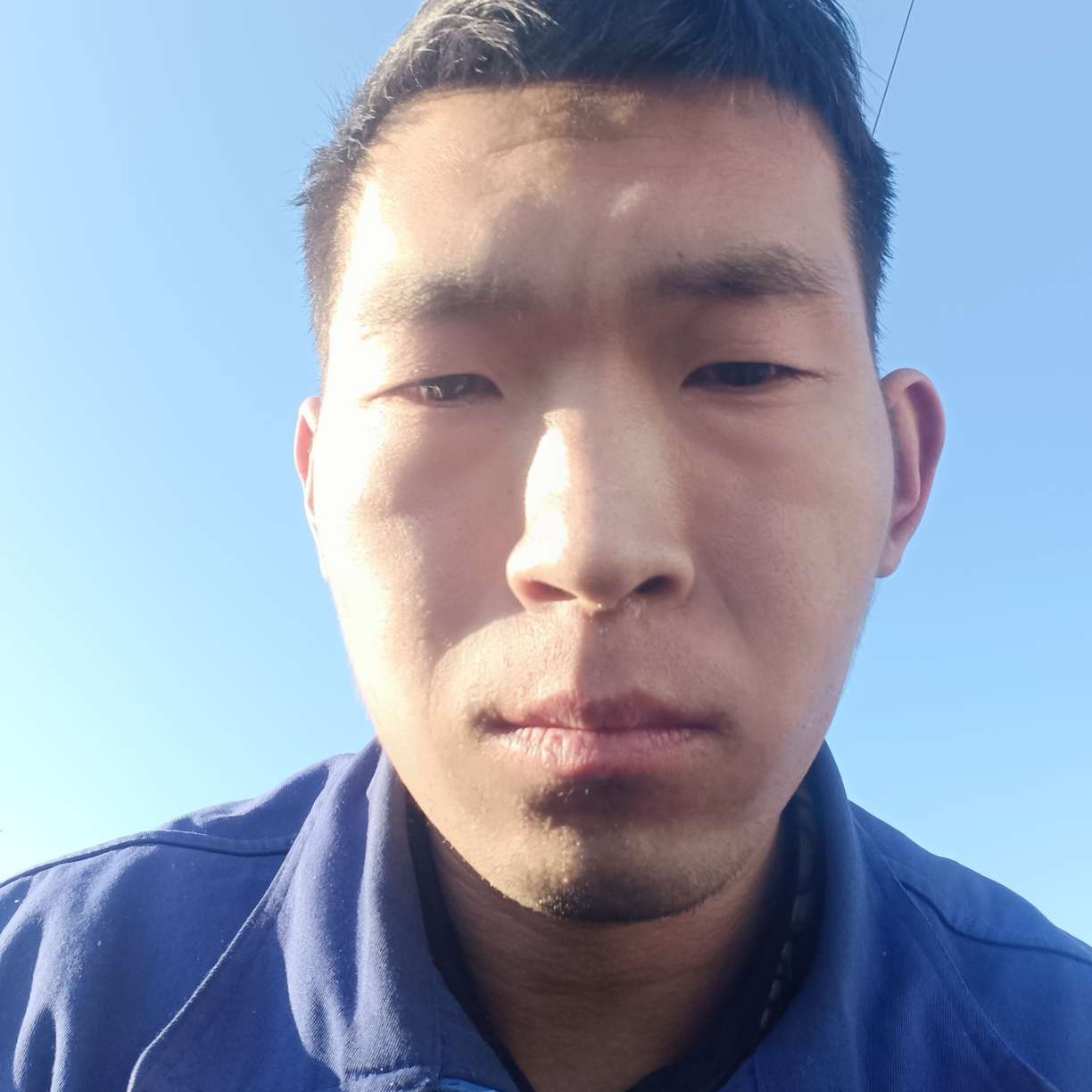 优雅蹁跹蝶舞的照片