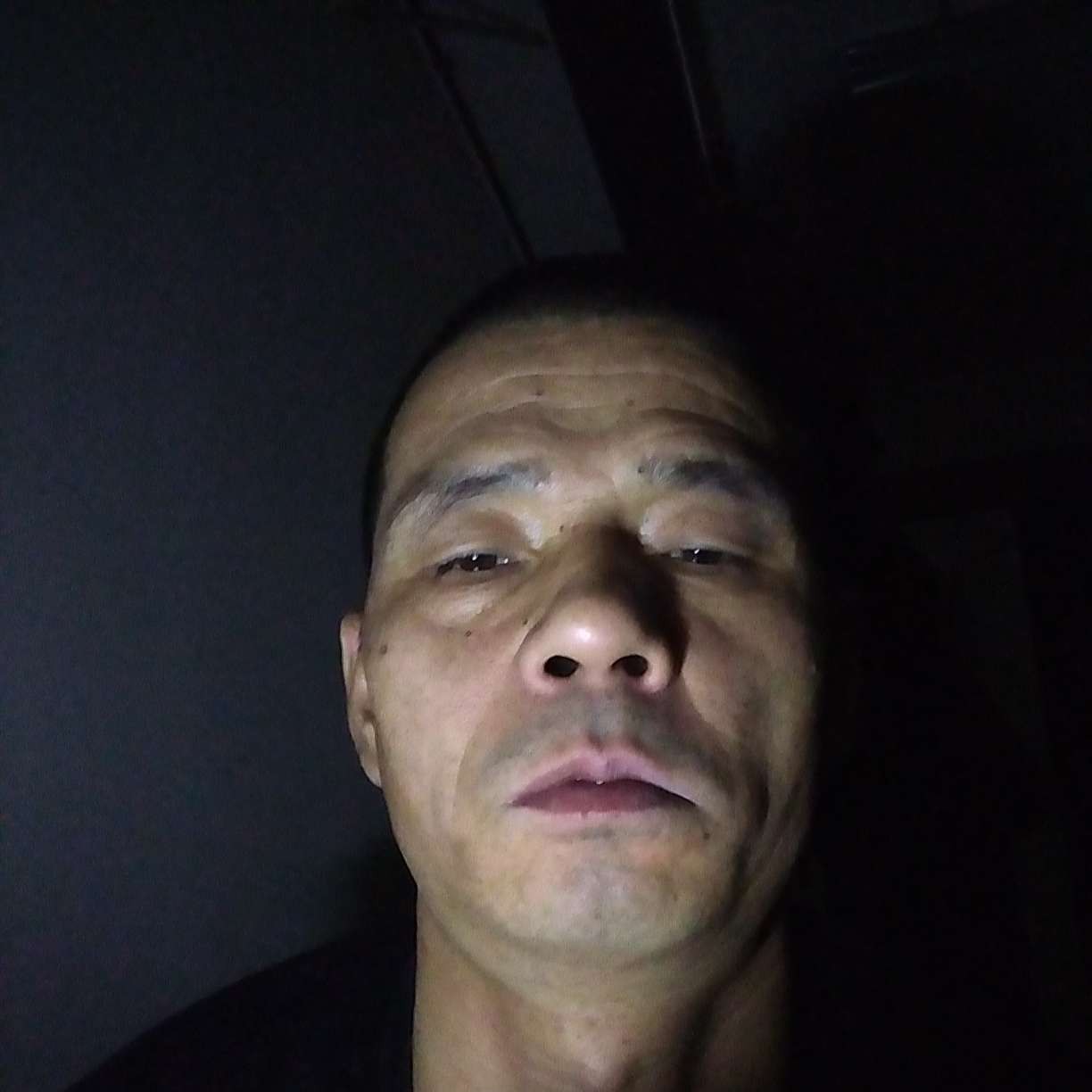 单纯請黑夜的照片