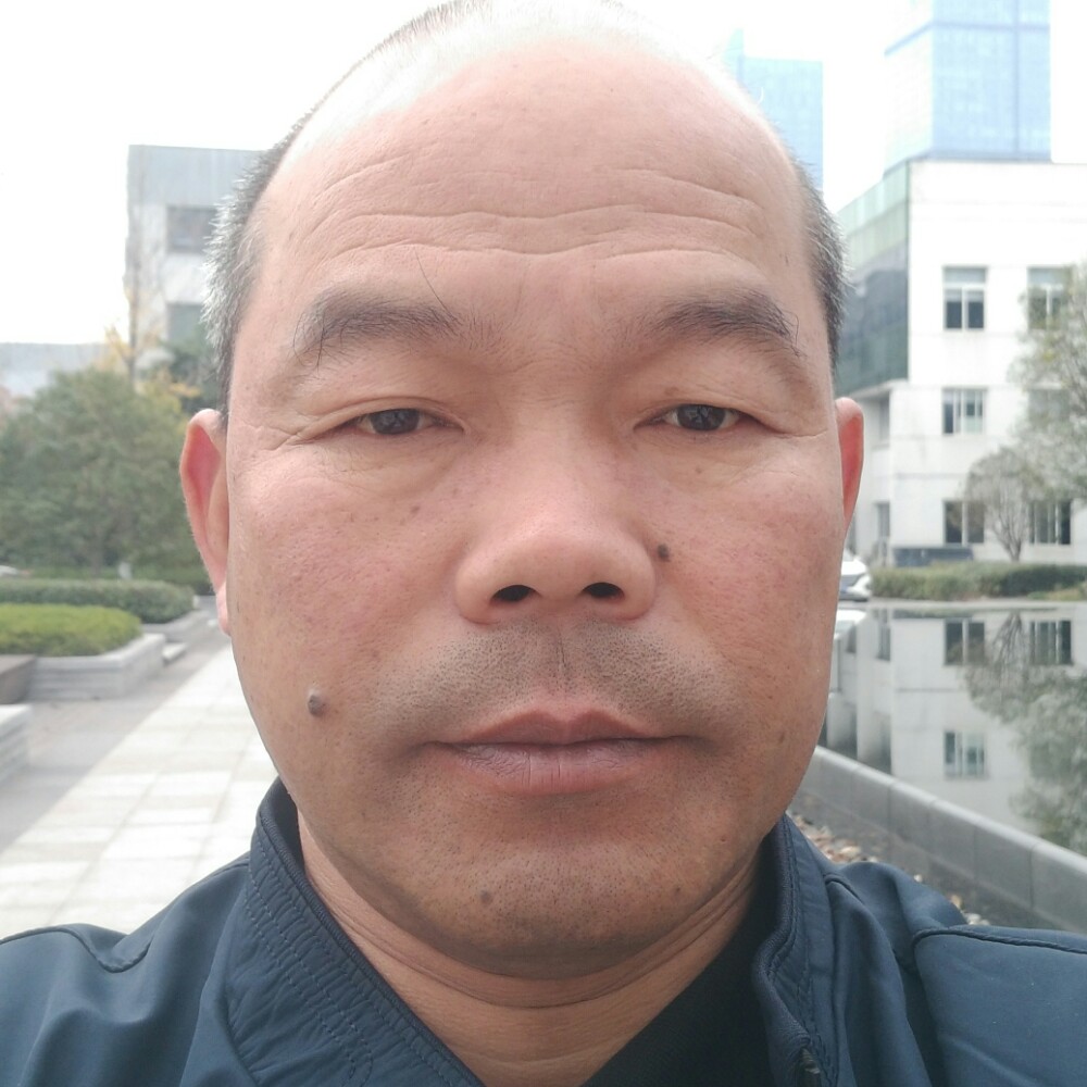 fsh的照片