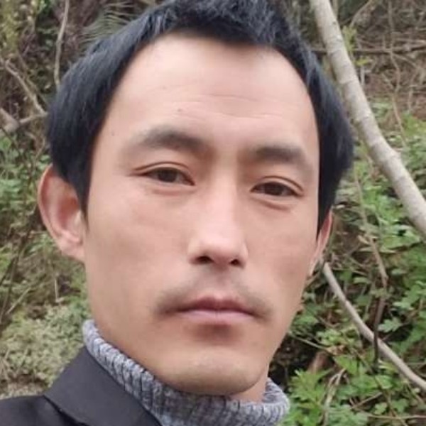 虚幻漫步山水的照片