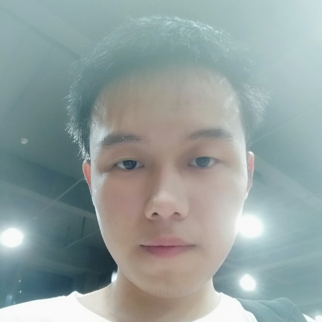 雨中风林的照片