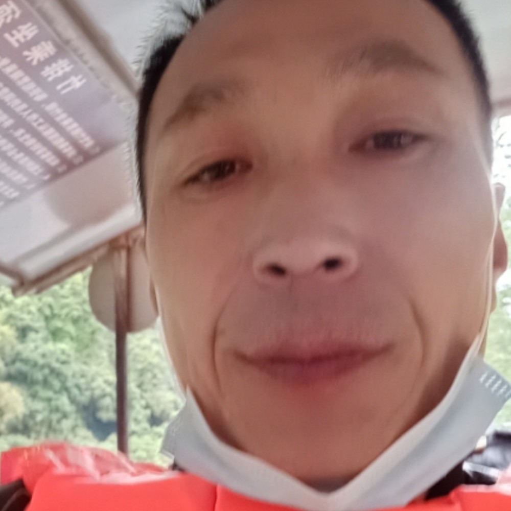鸭子给孤独的照片