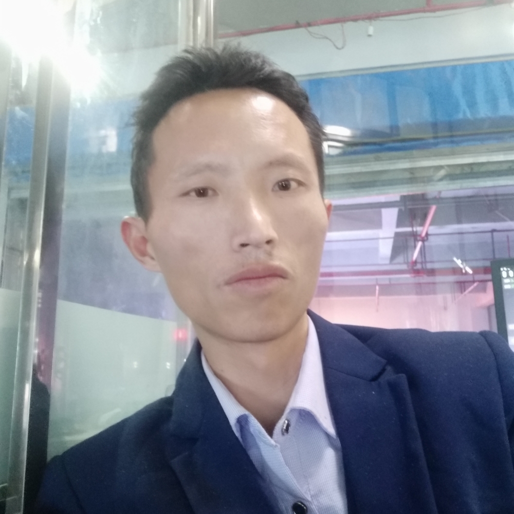 纸鹤請健忘的照片