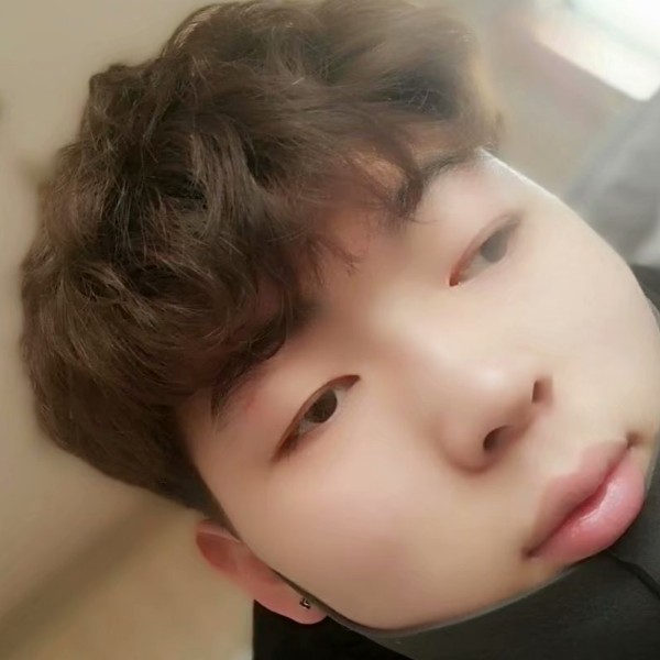 火龙果唠叨的照片