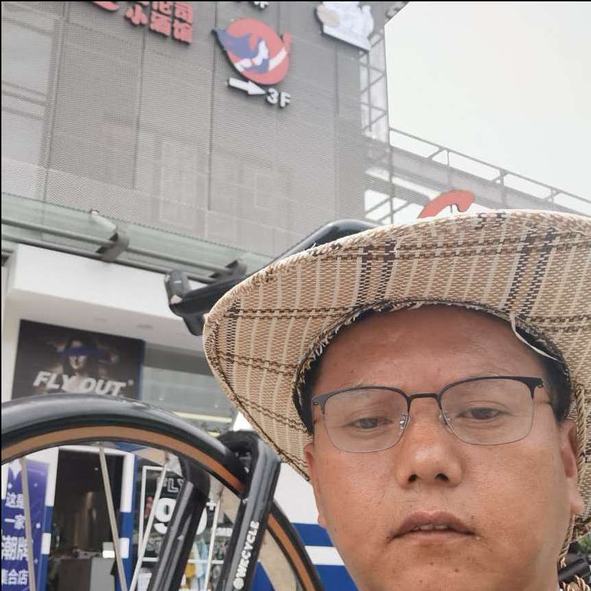 想飞的笨鸟的照片