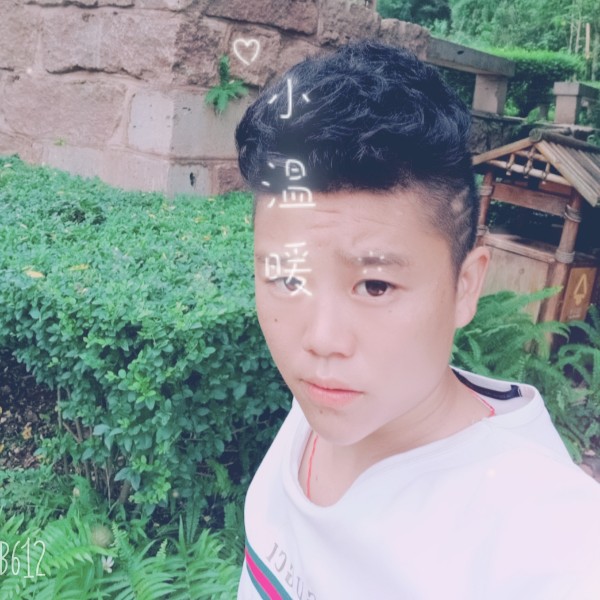 小海豚迎任性的照片