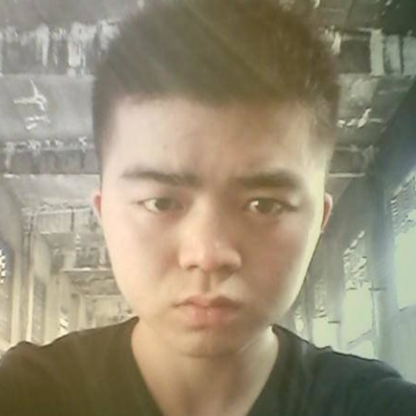 树叶苦恋黯然的照片