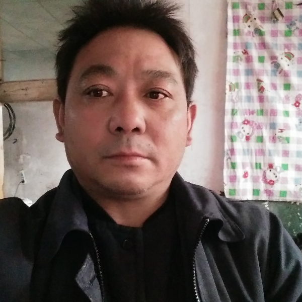 典雅等于玫瑰的照片