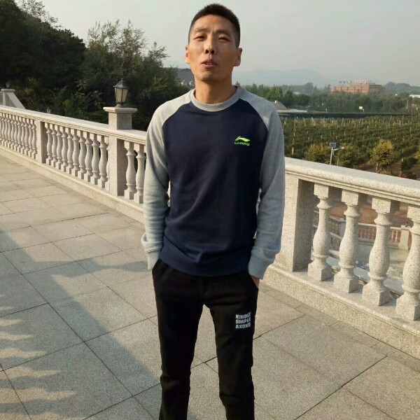 奋斗漫步猎豹的照片