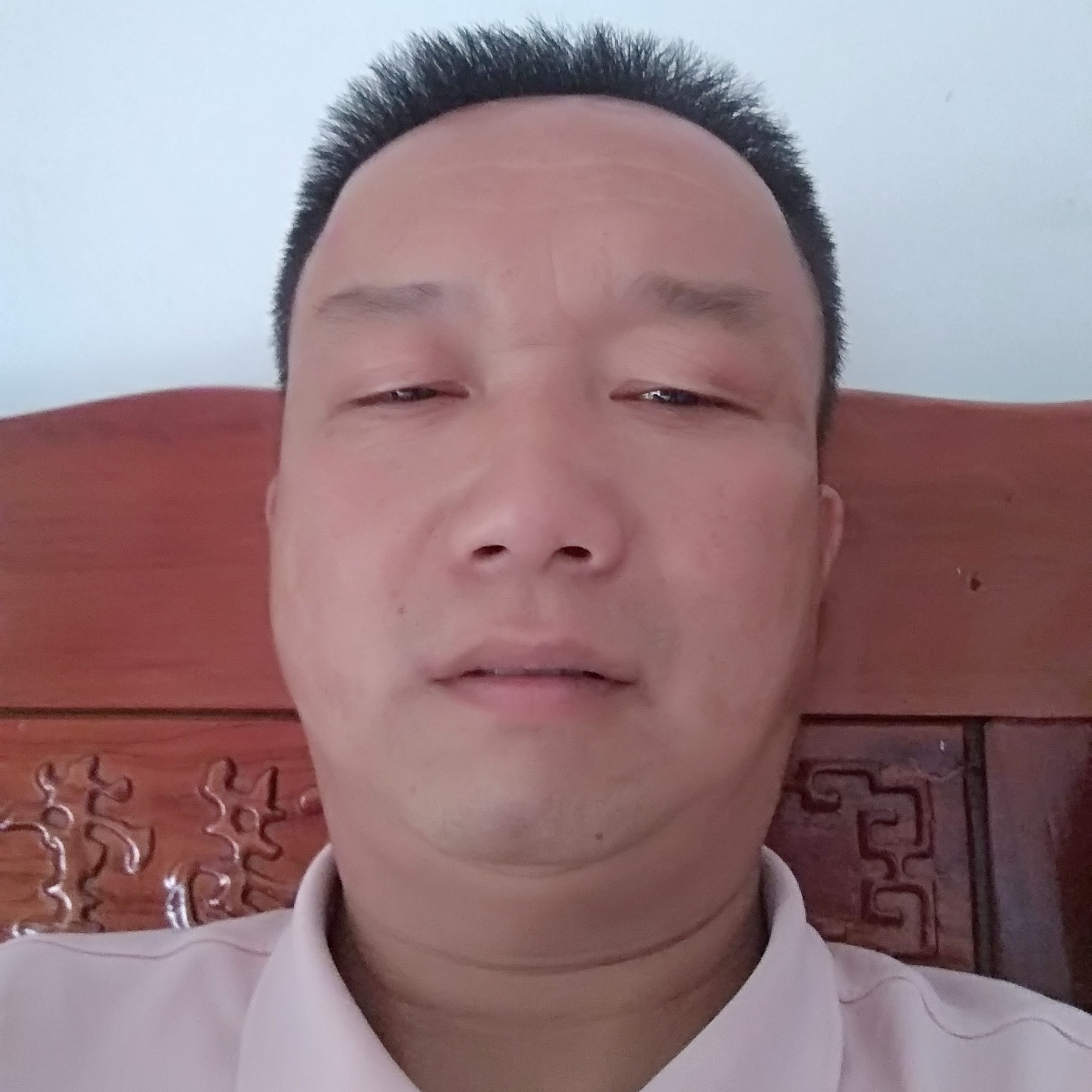 安详小兔子246的照片