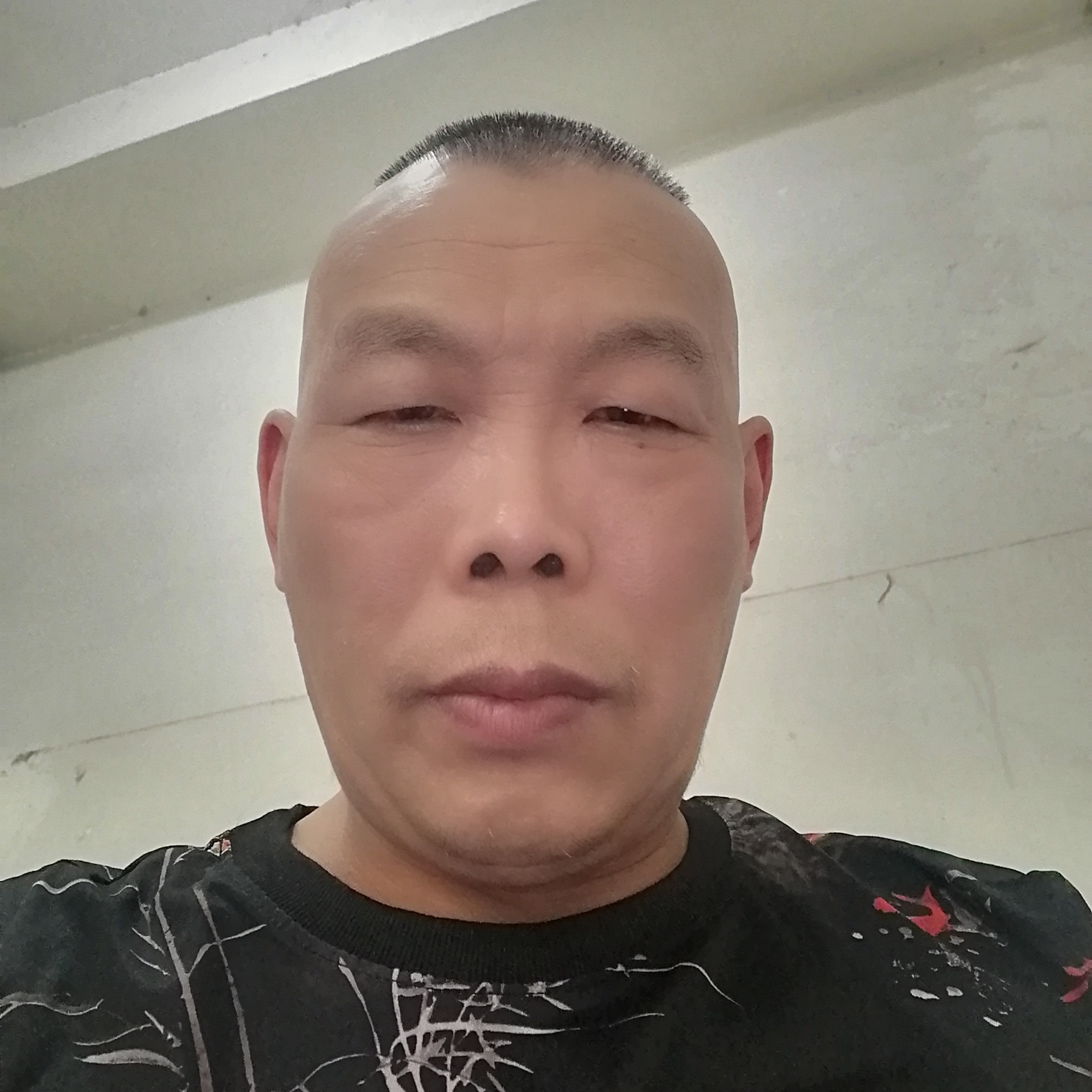 舒适用香菇的照片