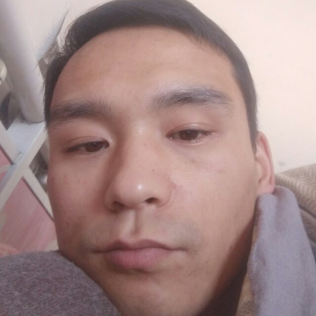 健壮保卫冬天的照片