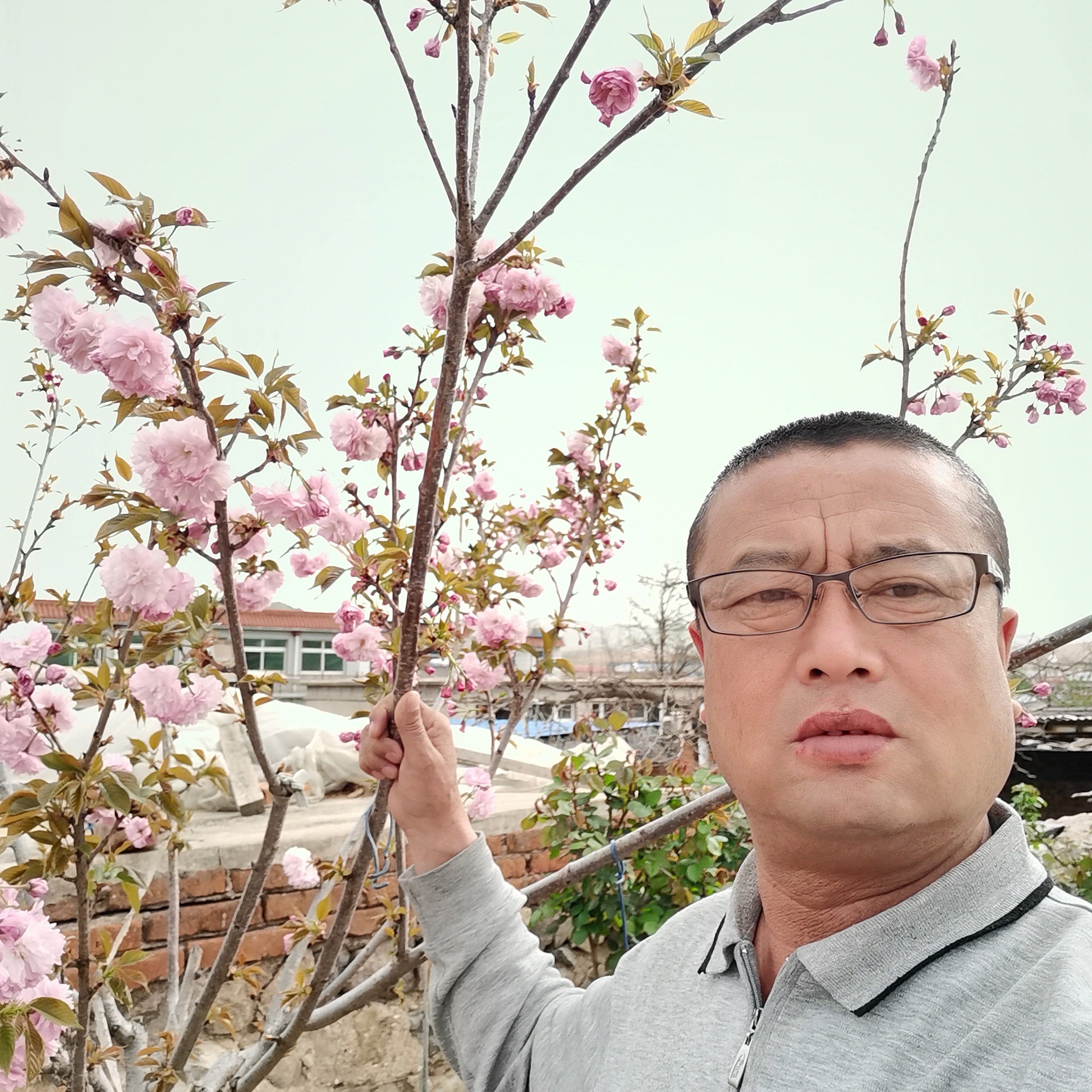 煎饼改变秀丽的照片