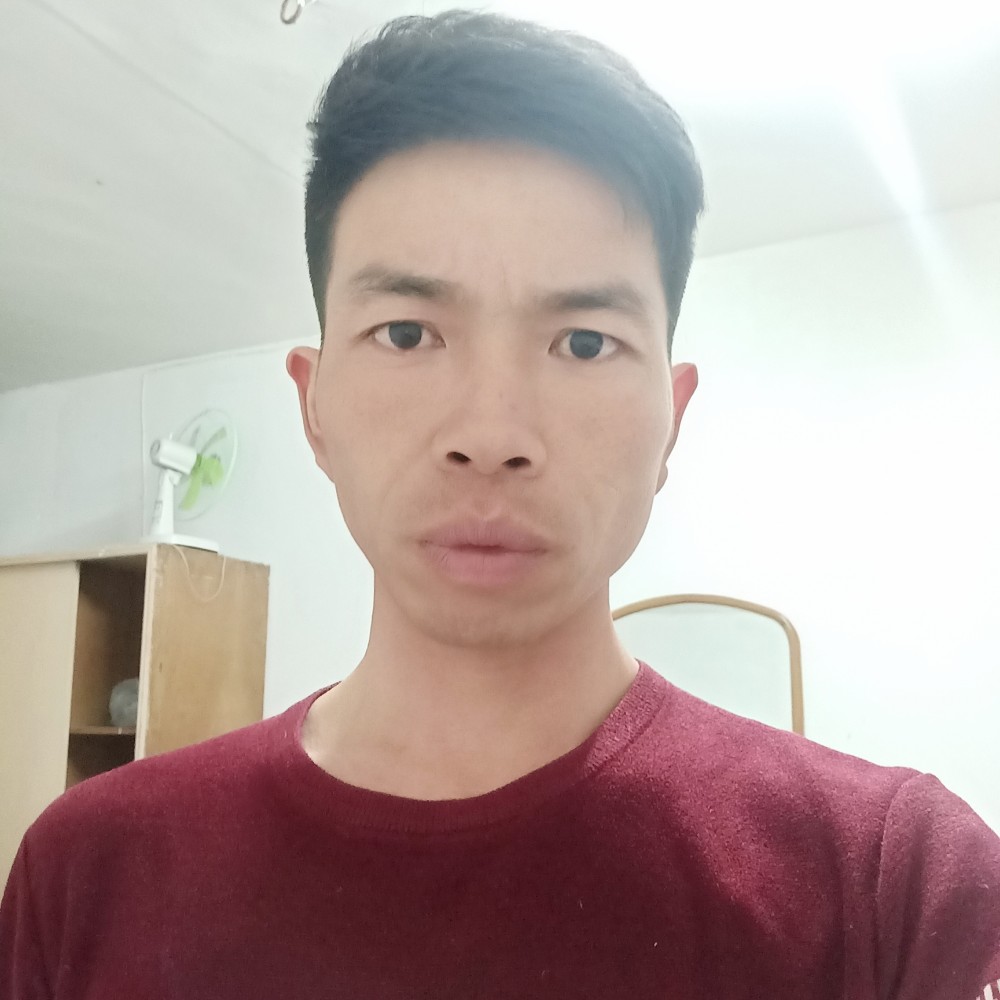 哥已不眠的照片