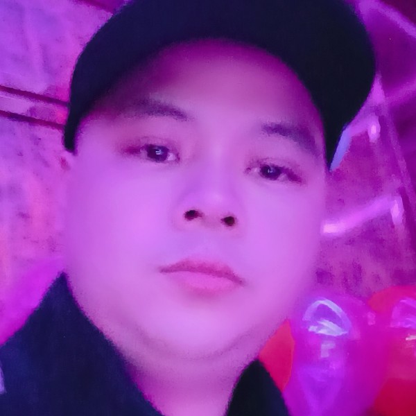 西牛故意的照片