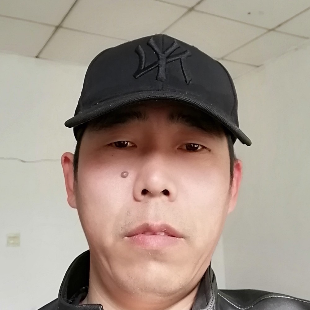 f与狼共舞的照片