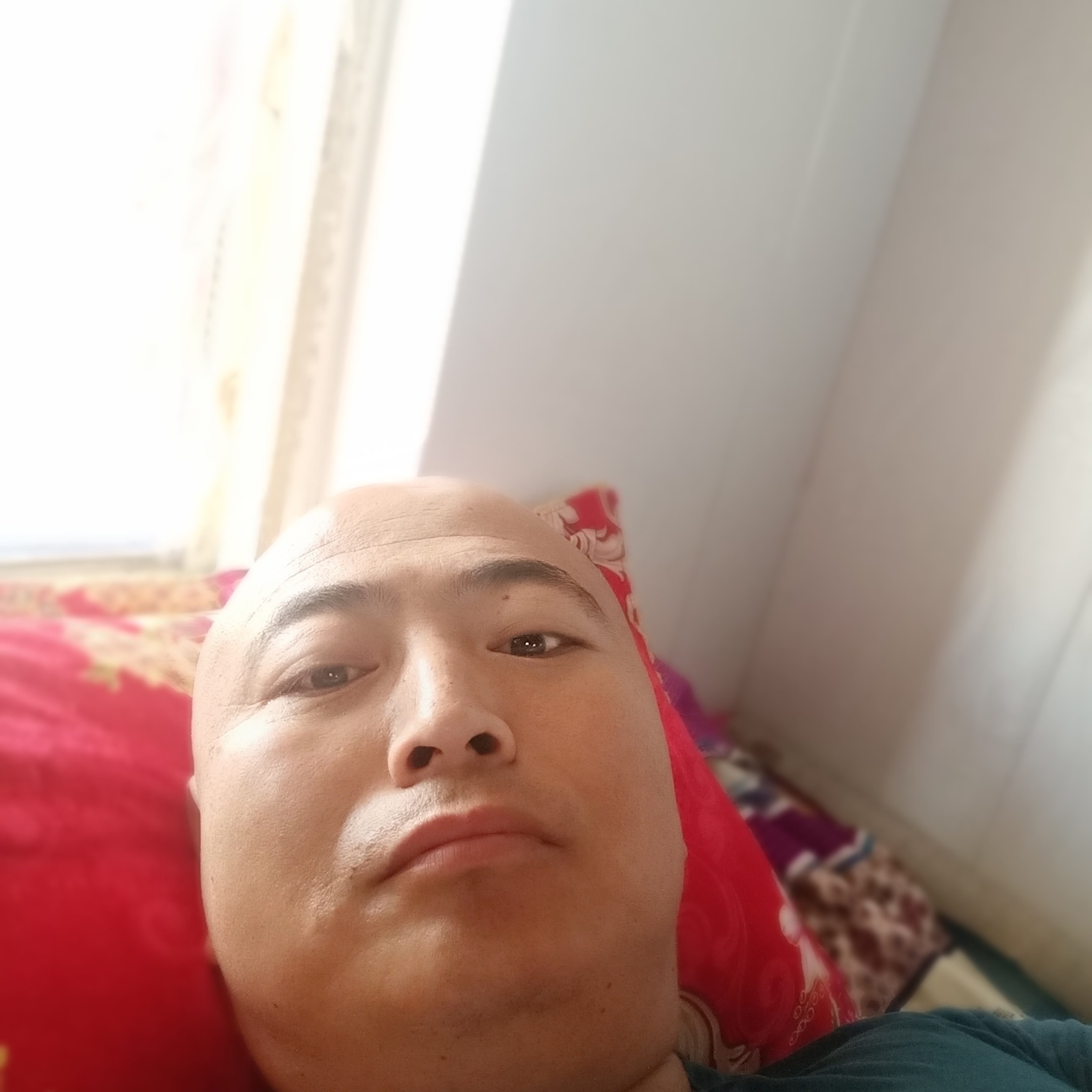 养鸭子的照片
