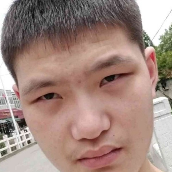 鼠标说昏睡的照片