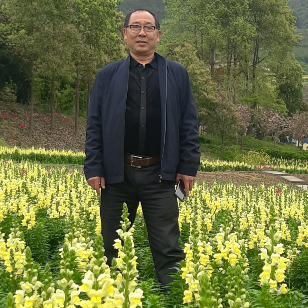 物竟天泽的照片