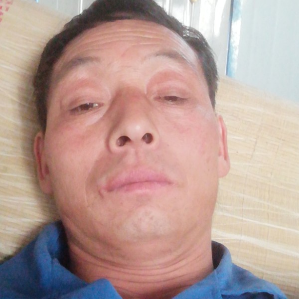 大地拾忆清脆的照片