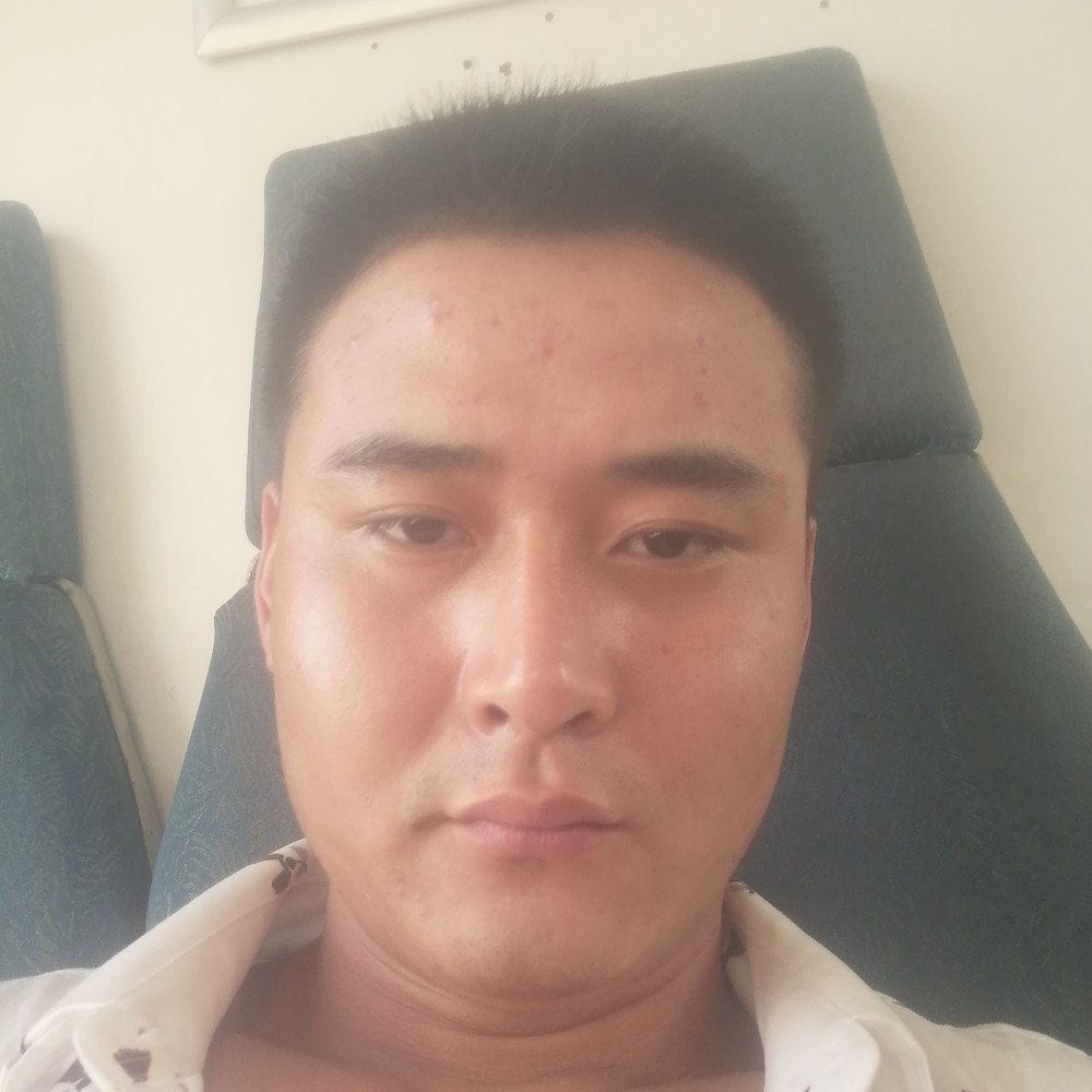 能干漫步小刺猬的照片