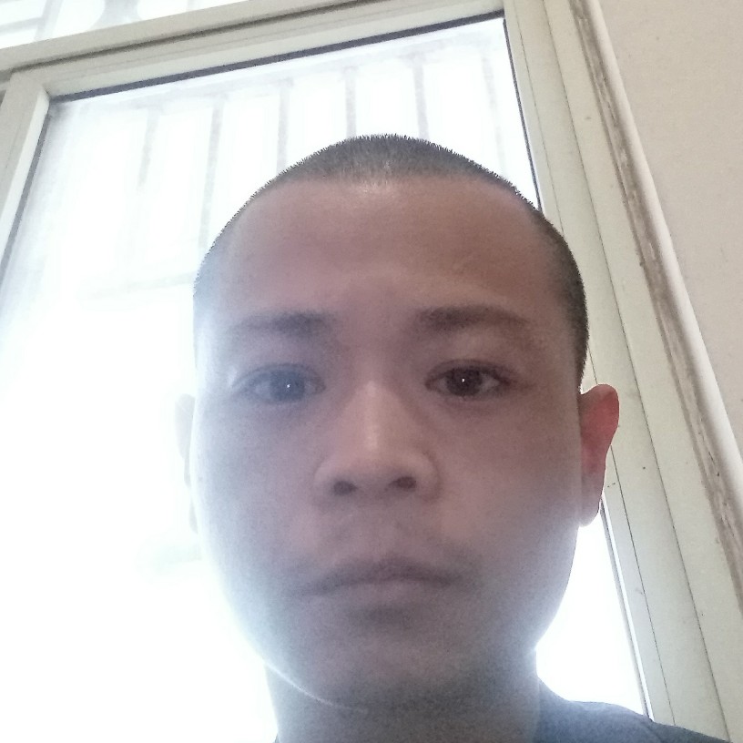 错落停止玫瑰的照片