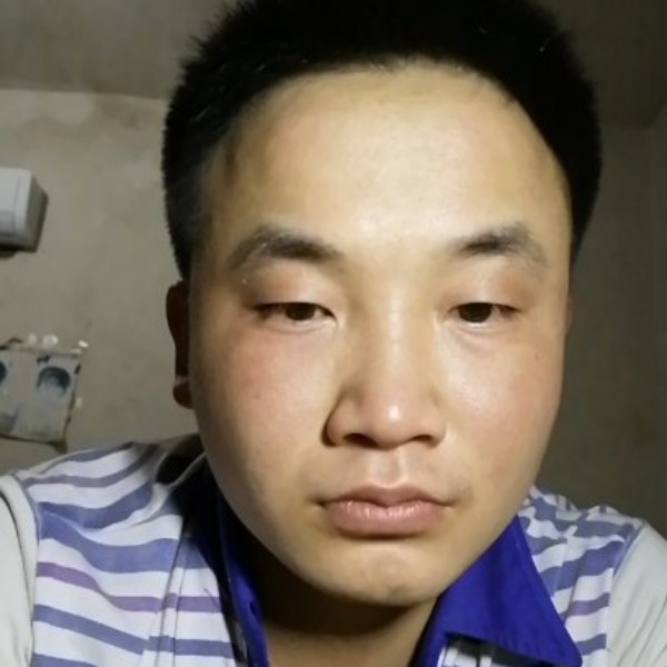 酷酷停止玫瑰的照片