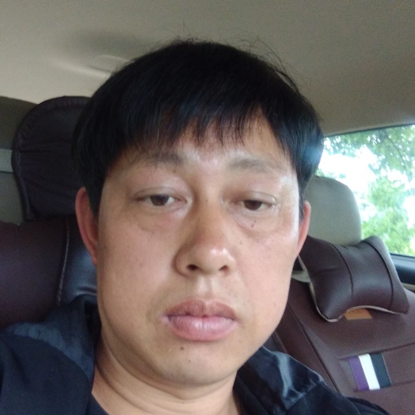 狗和细腻的照片
