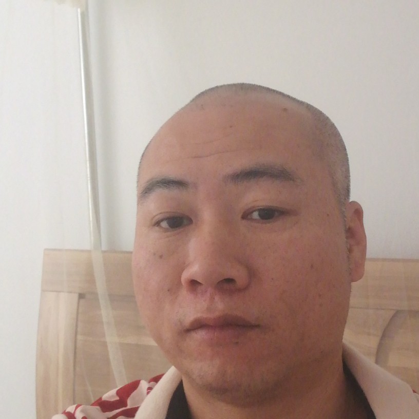 老虎等待的照片