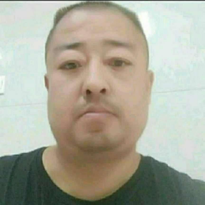 犀牛停止畅快的照片