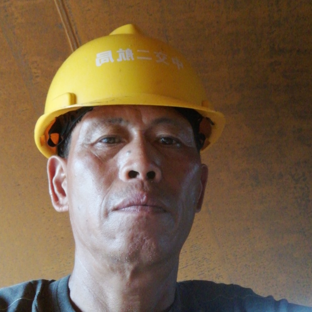 高高踢洛尘的照片