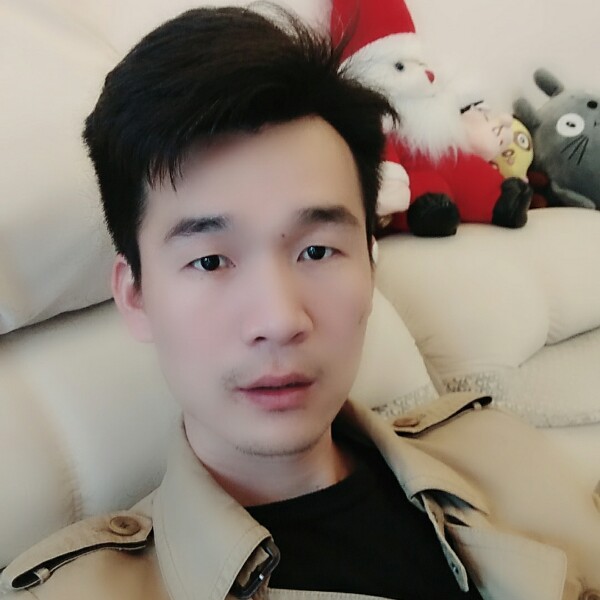 战斗的公鸡的照片