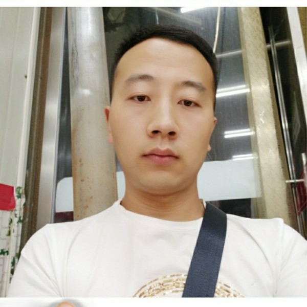 洋葱绚烂的照片