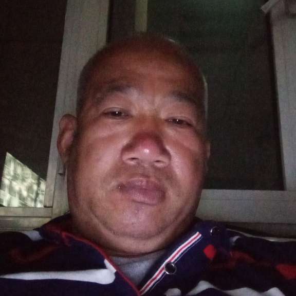 会飞的老山羊的照片