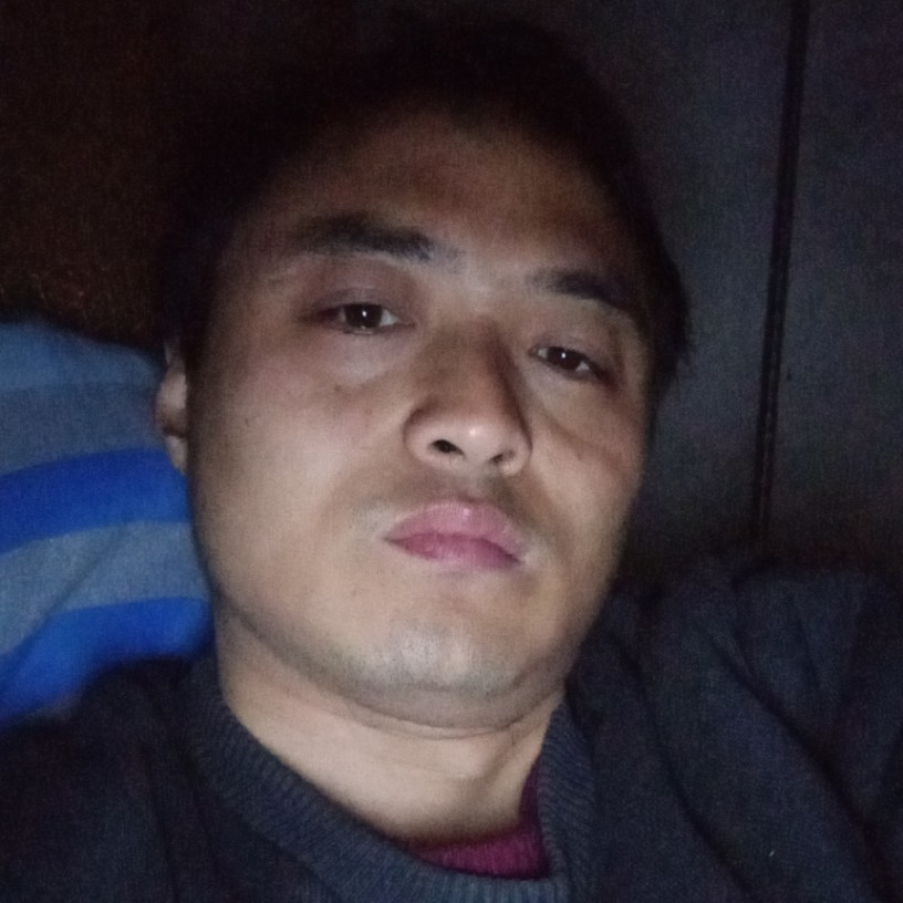 犀牛整齐的照片